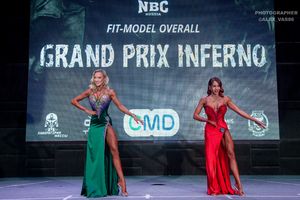 FIT-MODEL OVERALL